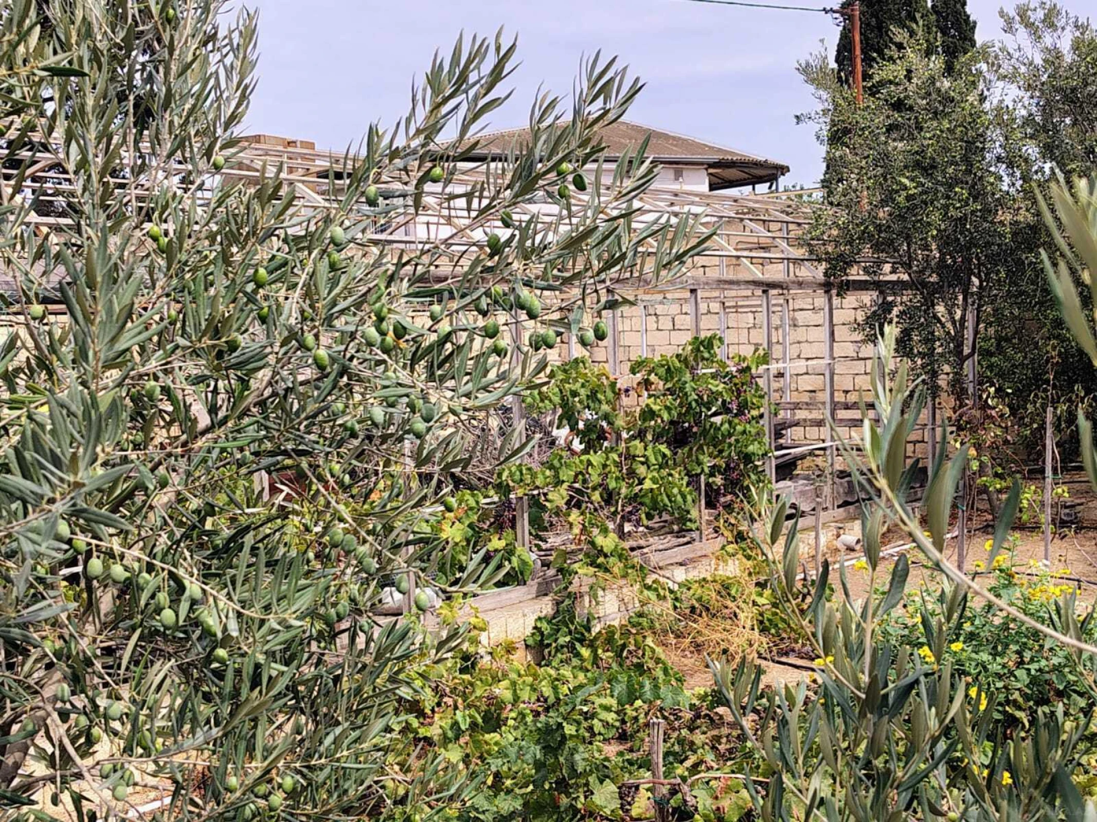 Satılır torpaq sahəsi 44 m²