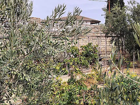 Satılır torpaq sahəsi 44 m²