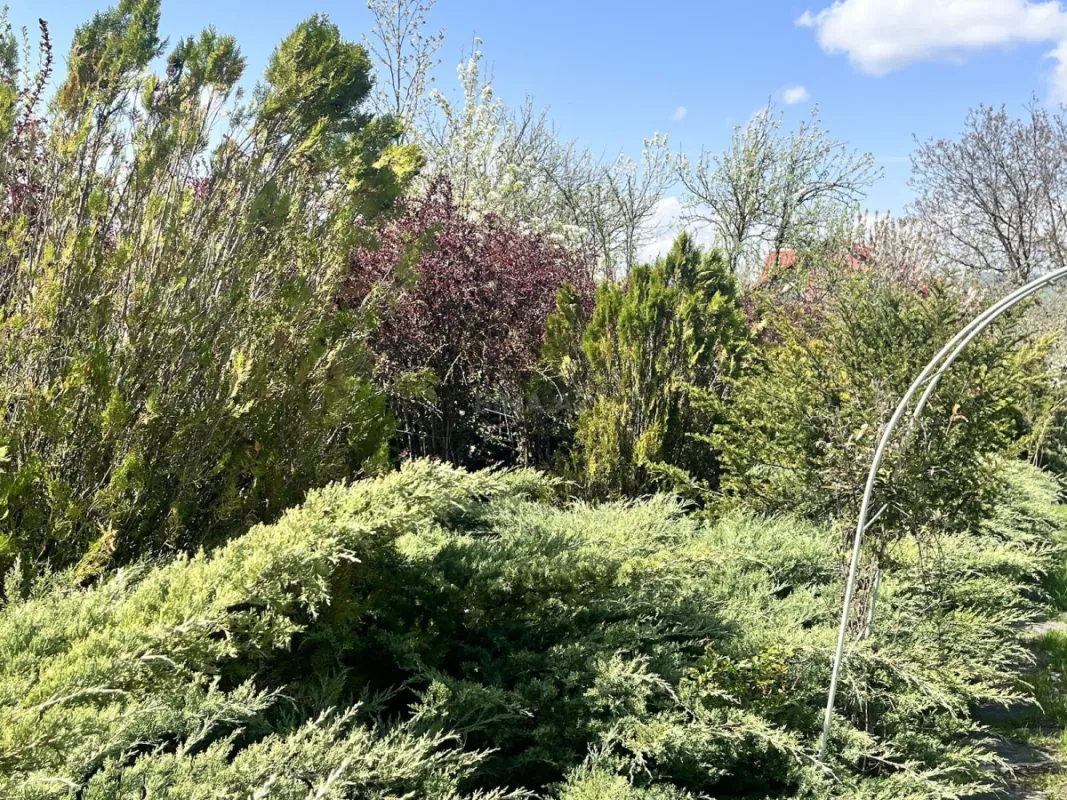 Satılır 4 otaqlı həyət evi 300 m²