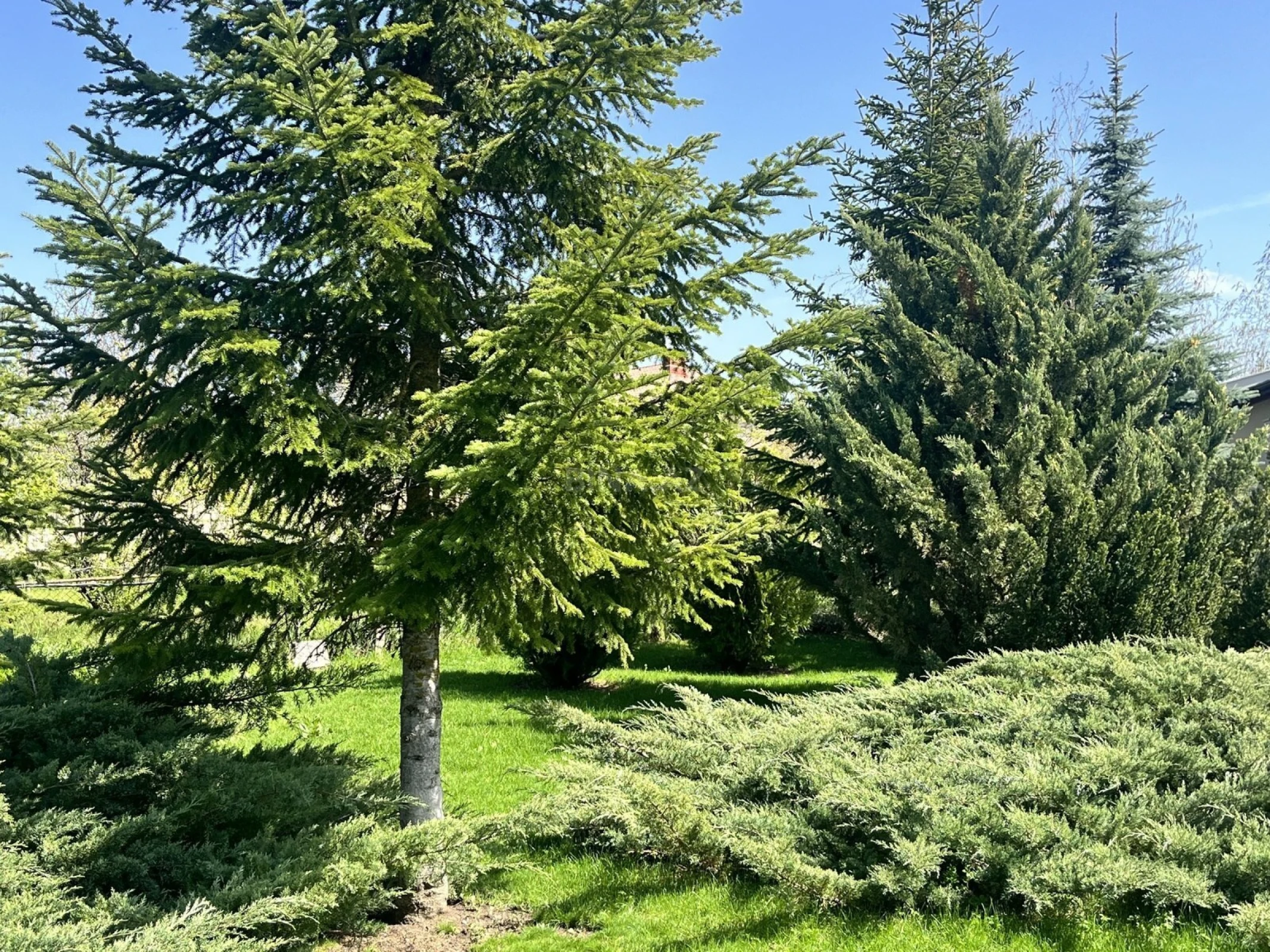 Satılır 4 otaqlı həyət evi 300 m²