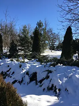 Satılır 4 otaqlı həyət evi 300 m²