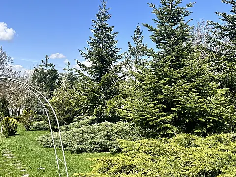 Satılır 4 otaqlı həyət evi 300 m²