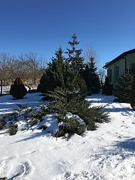 Satılır 4 otaqlı həyət evi 300 m²