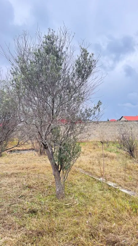 Satılır torpaq sahəsi 3.4 m²