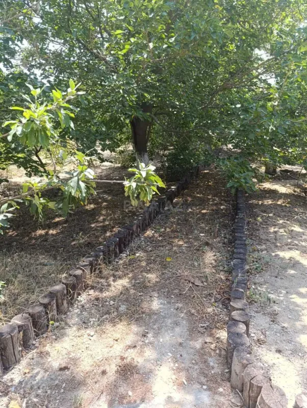 Satılır 14 otaqlı həyət evi 820 m²