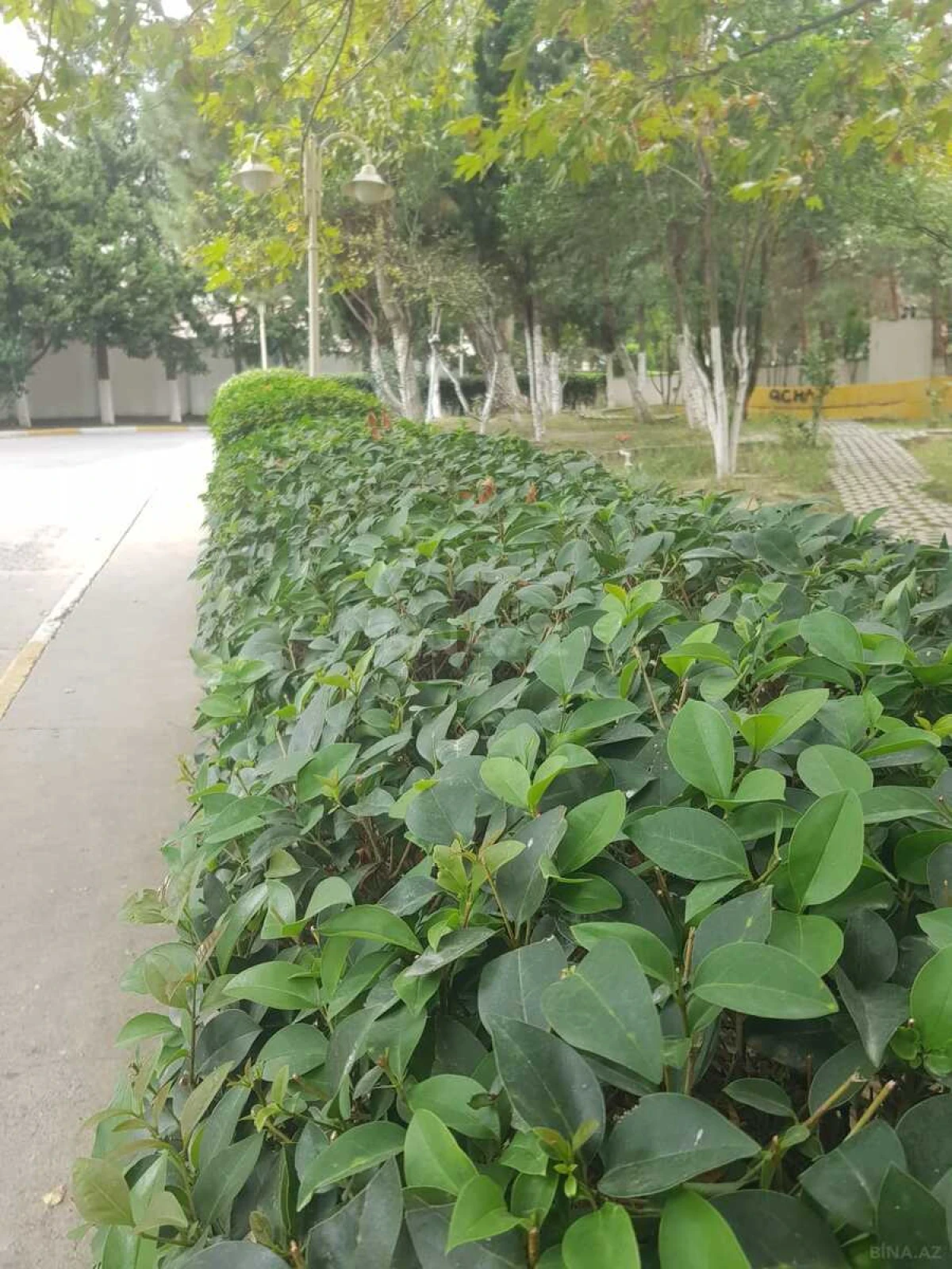 Satılır 4 otaqlı mənzil 185 m²