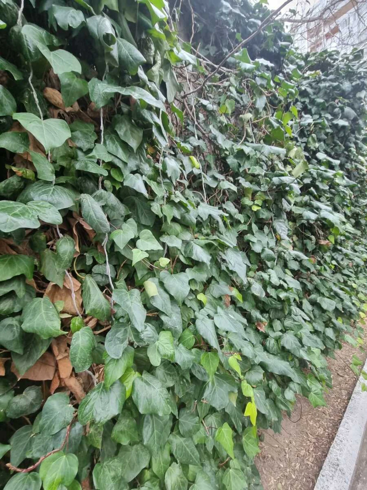 Satılır 4 otaqlı mənzil 185 m²