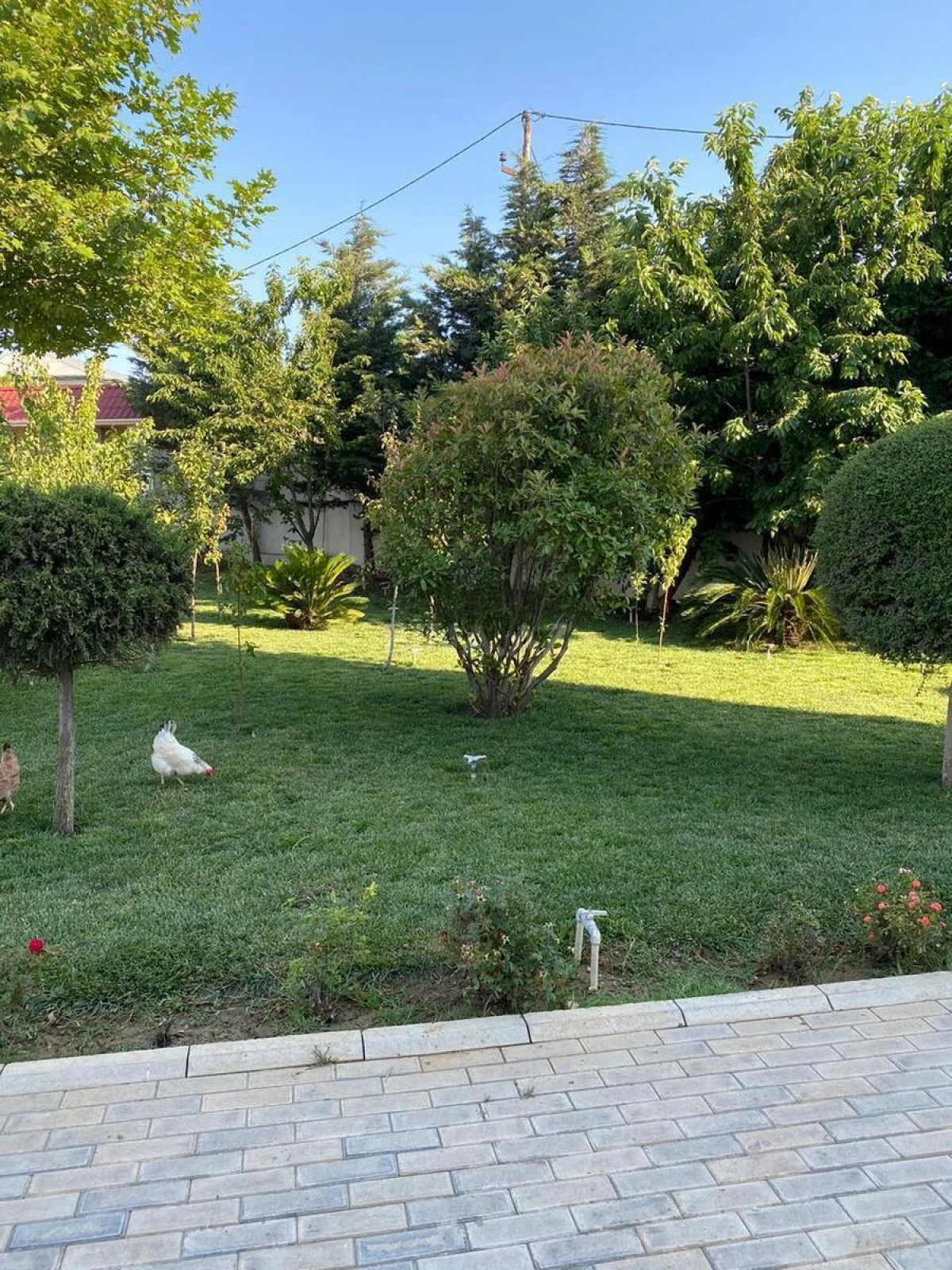 Satılır 10 otaqlı həyət evi 400 m²