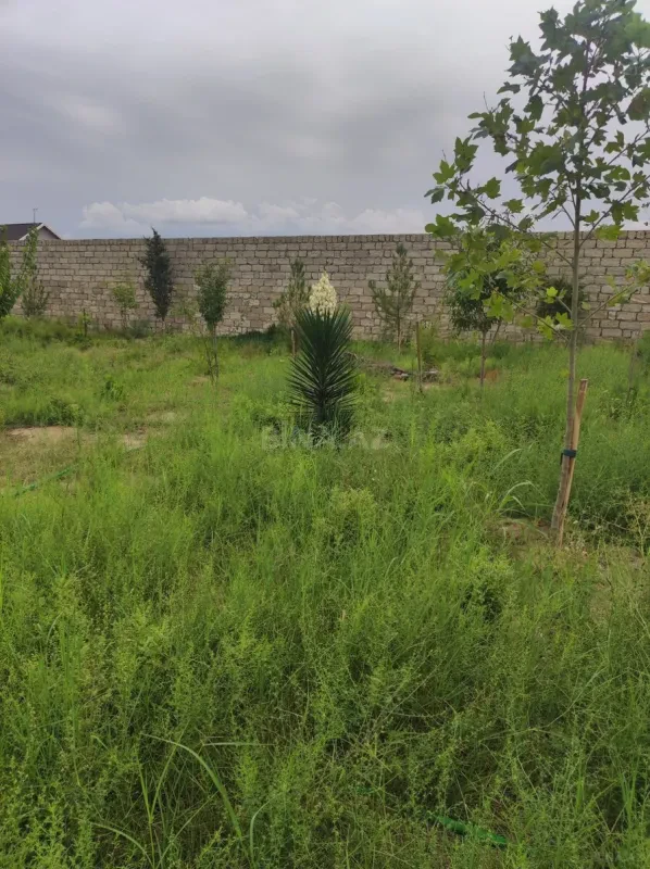 Satılır torpaq sahəsi 15 m²