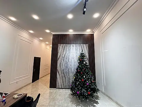 Satılır obyekt 105 m² — Bakı 105.00 m²