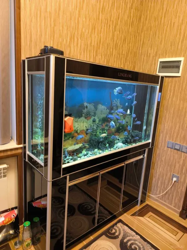 Satılır 6 otaqlı həyət evi 385 m²