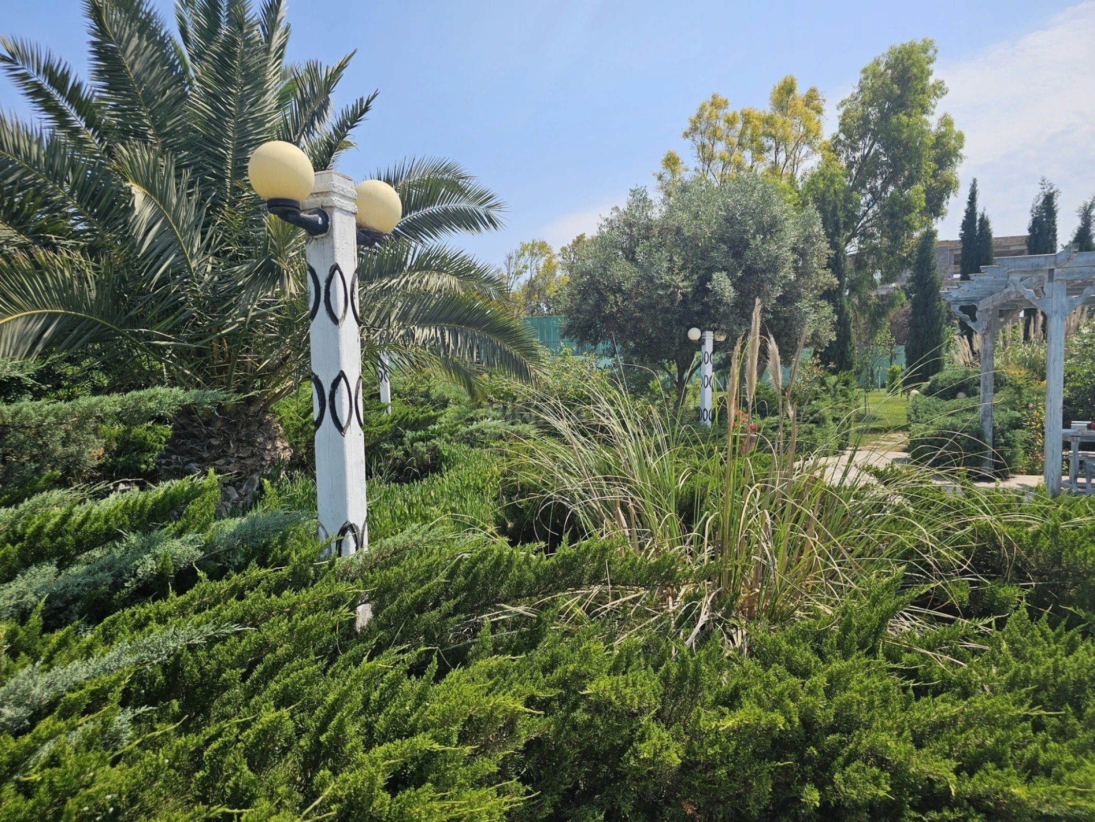 Satılır torpaq sahəsi 36 m²