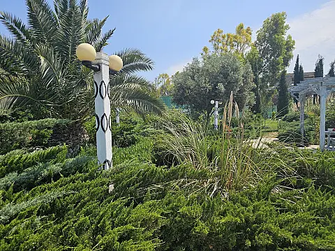 Satılır torpaq sahəsi 36 m²