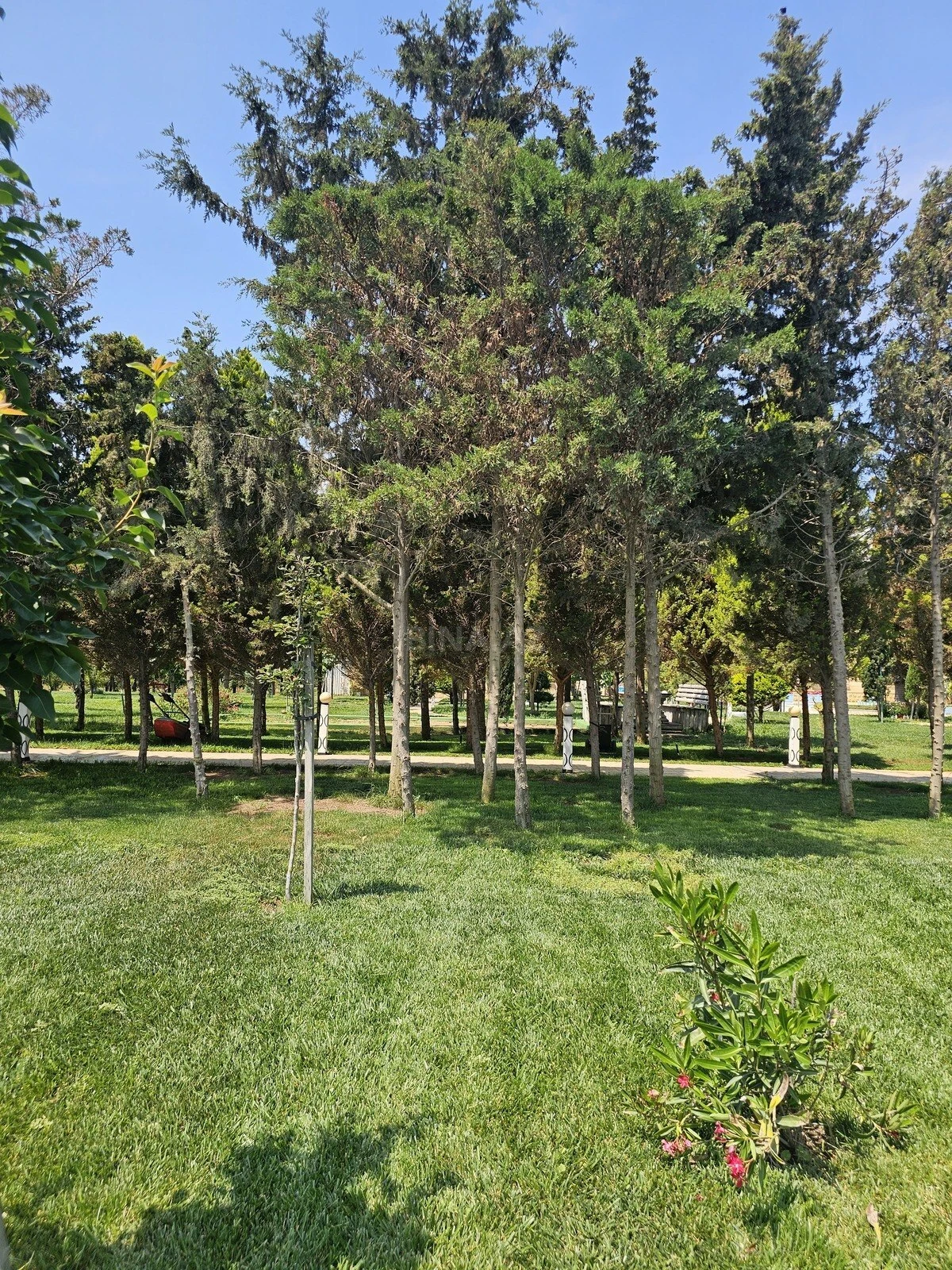 Satılır torpaq sahəsi 36 m²