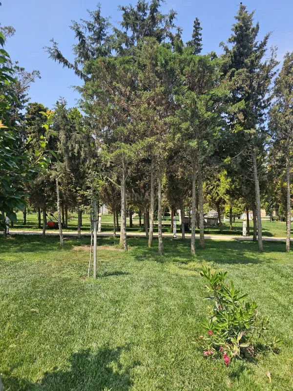 Satılır torpaq sahəsi 36 m²