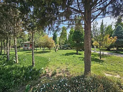 Satılır torpaq sahəsi 36 m²