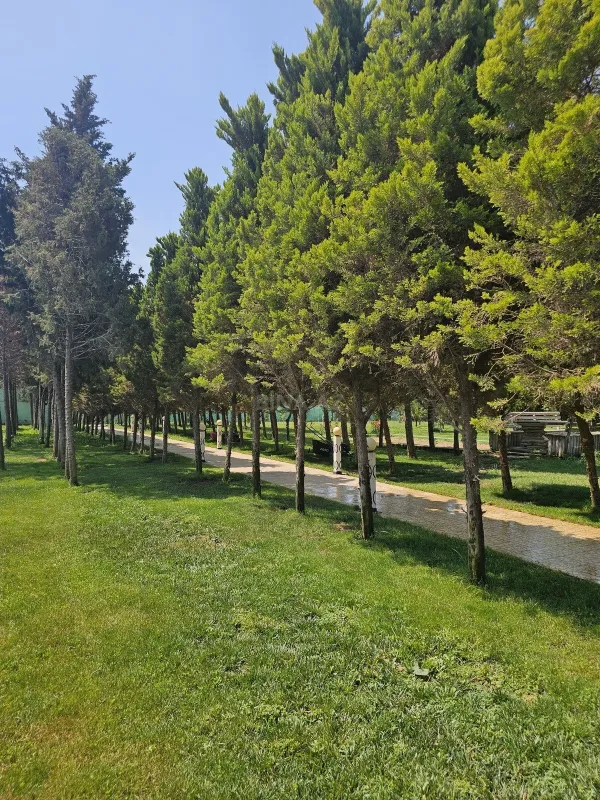 Satılır torpaq sahəsi 36 m²