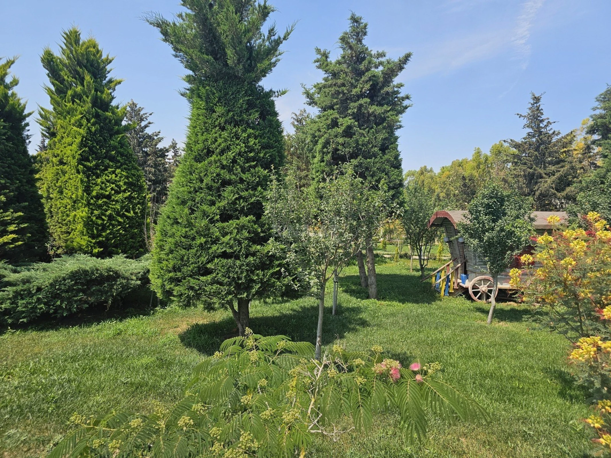 Satılır torpaq sahəsi 36 m²