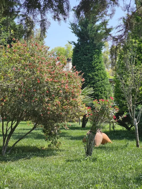 Satılır torpaq sahəsi 36 m²