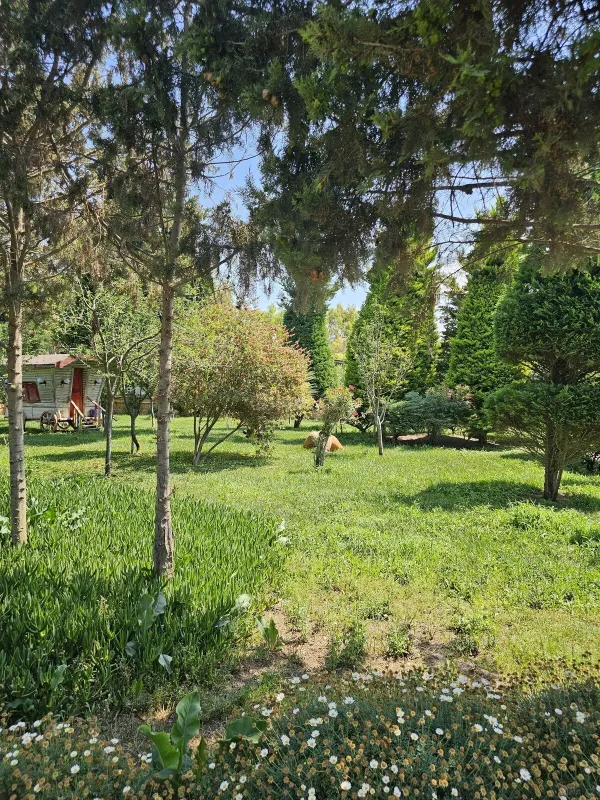 Satılır torpaq sahəsi 36 m²