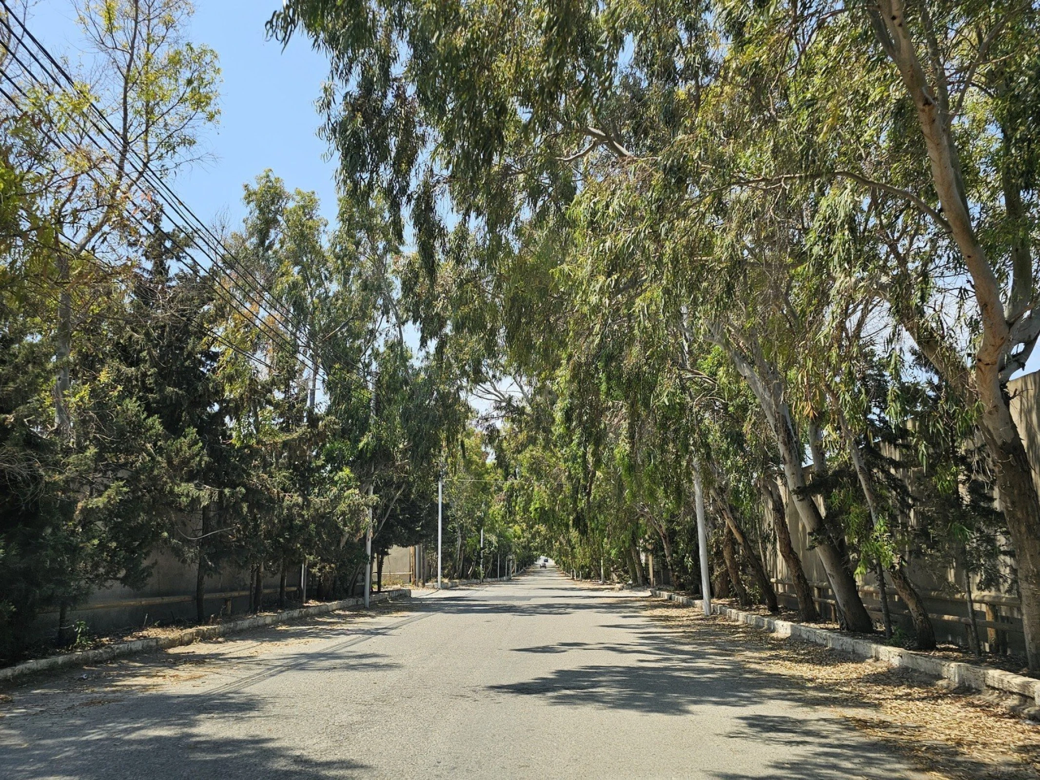 Satılır torpaq sahəsi 36 m²