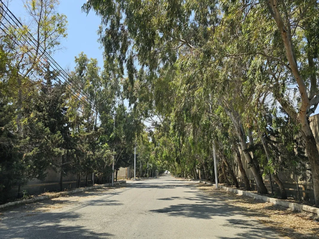 Satılır torpaq sahəsi 36 m²