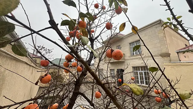 Satılır 7 otaqlı həyət evi 240 m²