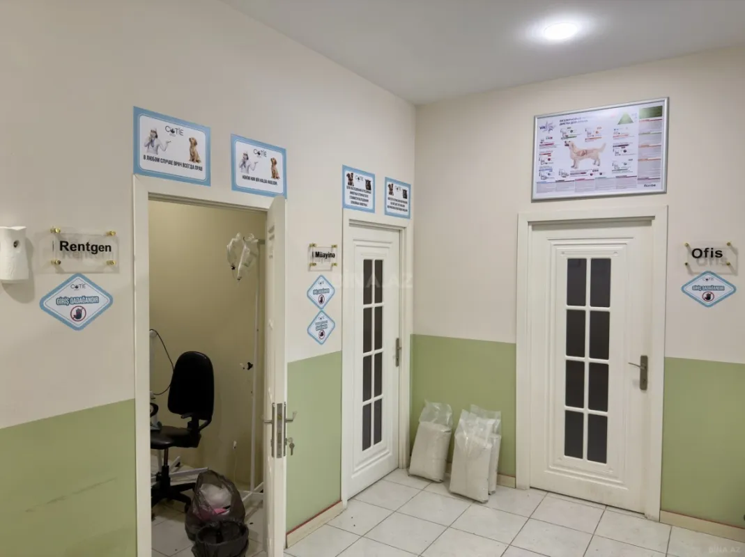 Satılır obyekt 100 m²