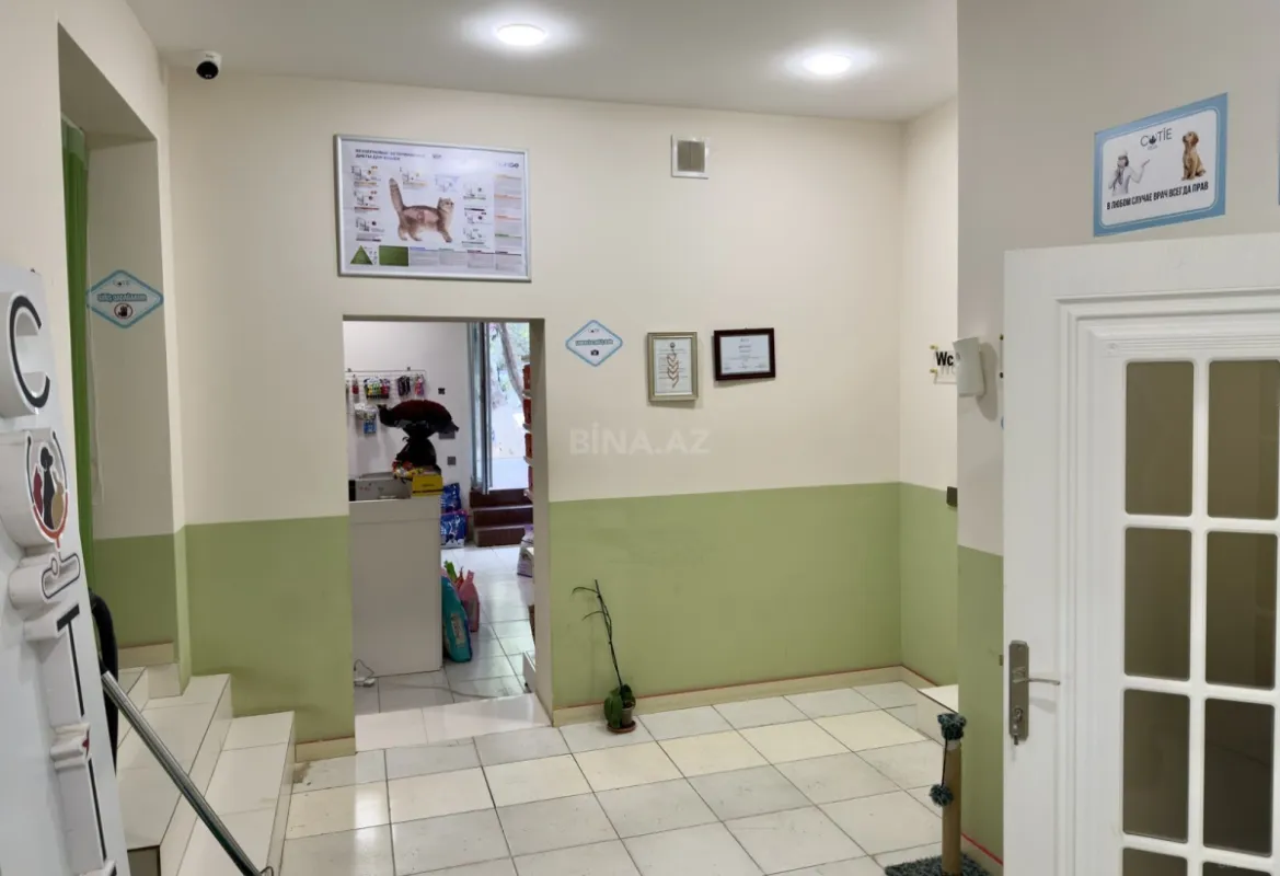 Satılır obyekt 100 m²