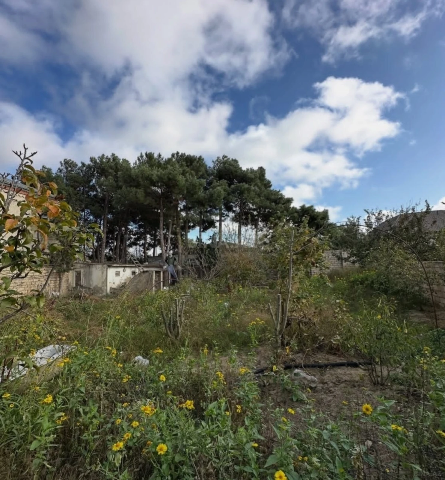 Satılır torpaq sahəsi 18 m²