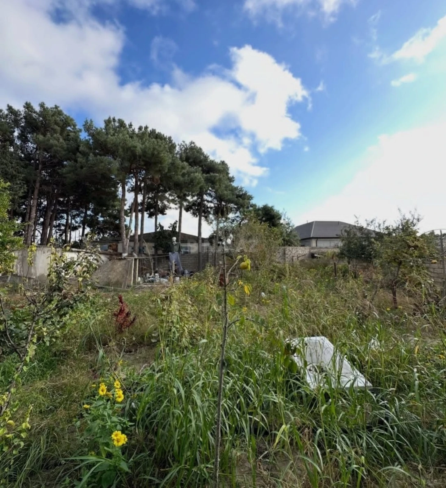 Satılır torpaq sahəsi 18 m²