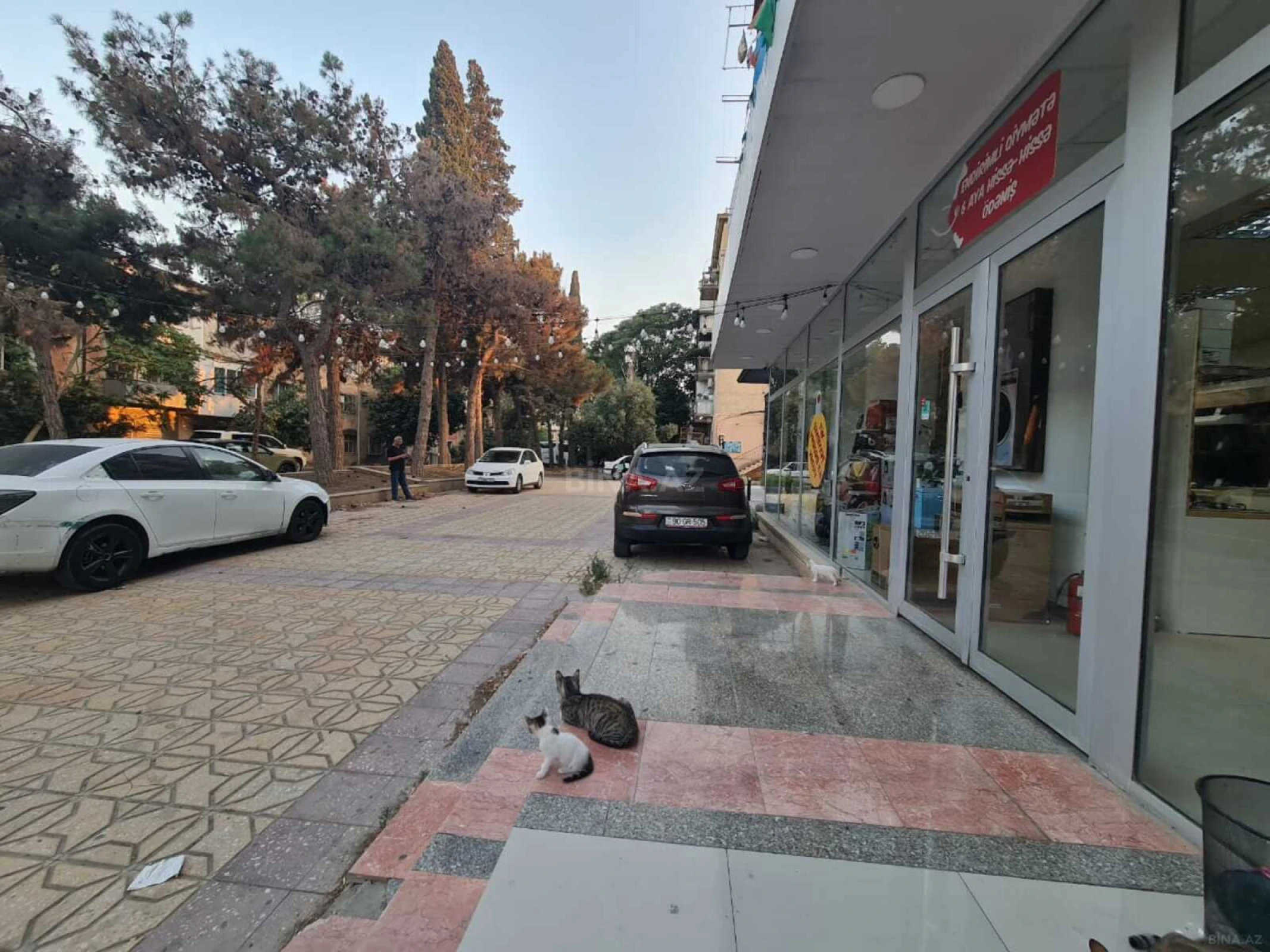 Satılır obyekt 455 m²