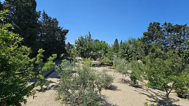 Satılır torpaq sahəsi 25 m² — Bakı, Nardaran 25.00 m²