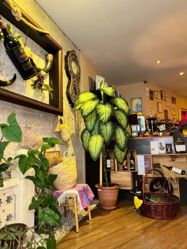 Kirayə verilir obyekt 290 m²