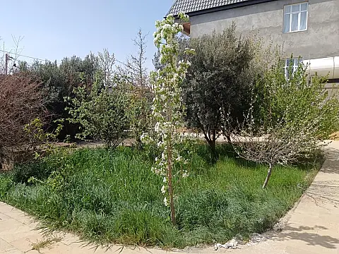 Satılır 8 otaqlı həyət evi 280 m²