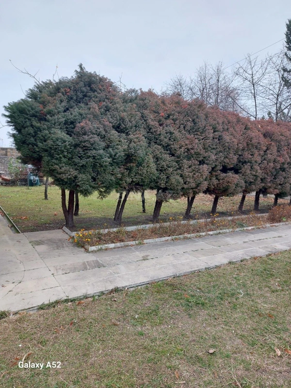 Satılır 10 otaqlı həyət evi 600 m²