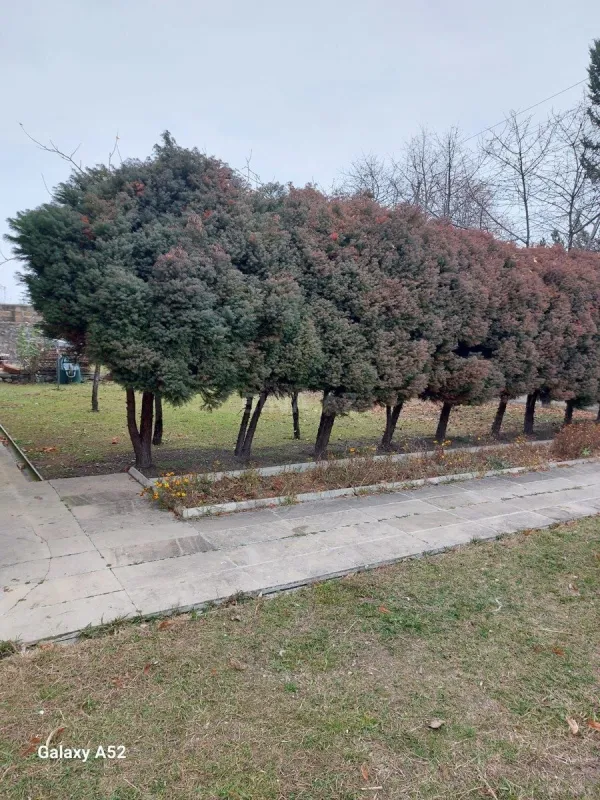 Satılır 10 otaqlı həyət evi 600 m²