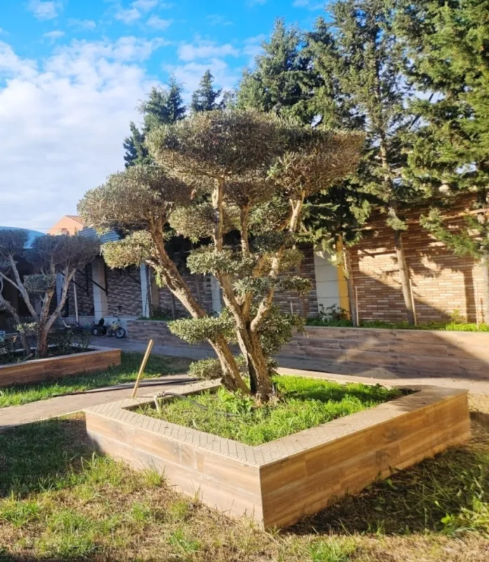 Satılır 5 otaqlı həyət evi 450 m²