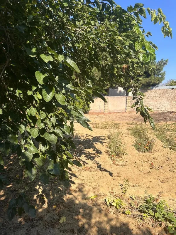 Satılır torpaq sahəsi 3 m²