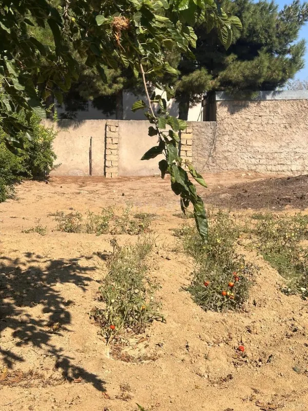 Satılır torpaq sahəsi 3 m²