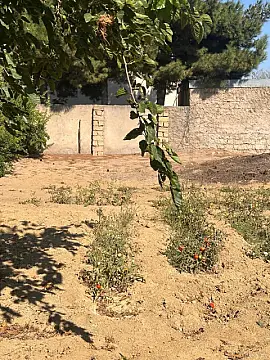 Satılır torpaq sahəsi 3 m²