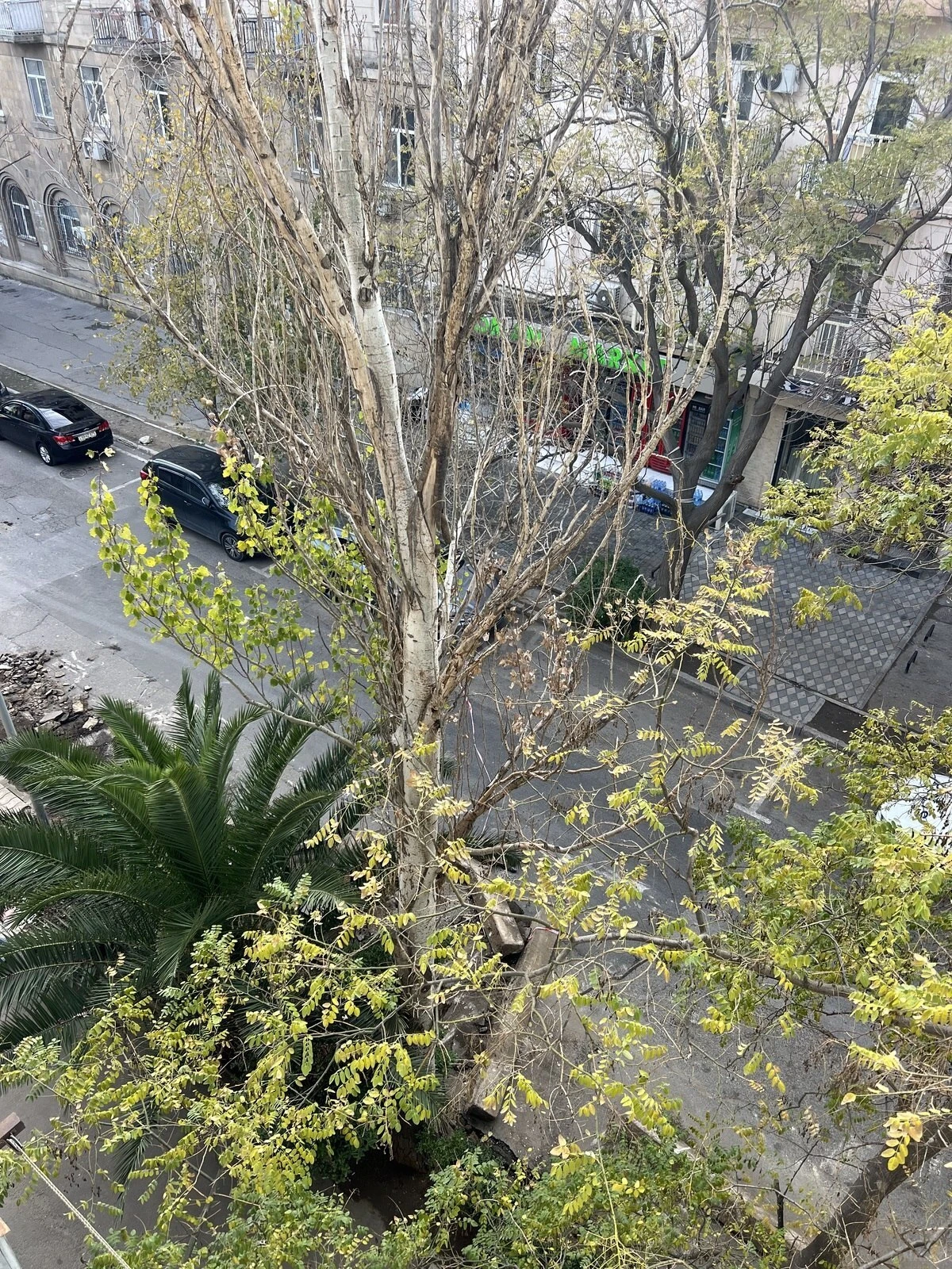 Satılır 2 otaqlı mənzil 50 m²