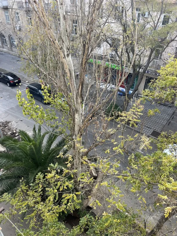 Satılır 2 otaqlı mənzil 50 m²