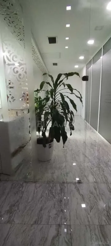 Kirayə verilir 4 otaqlı ofis 300 m²