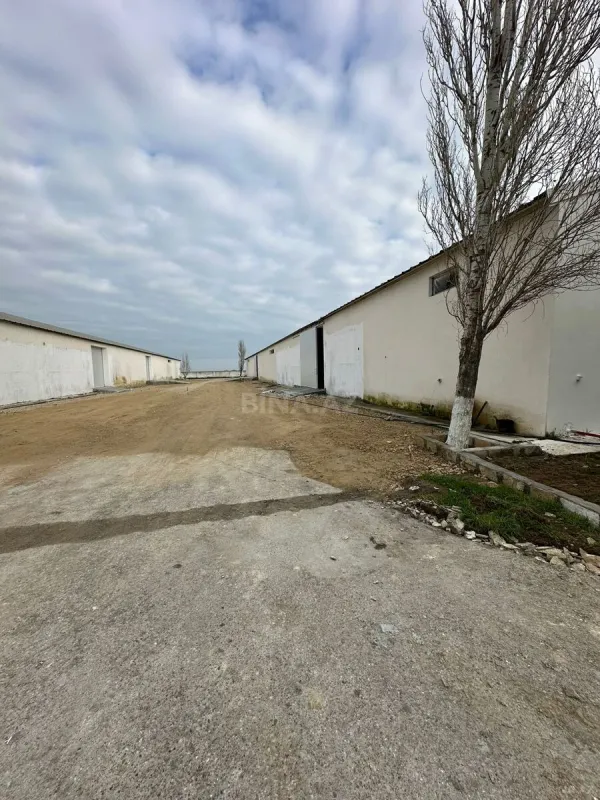 Kirayə verilir obyekt 648 m²