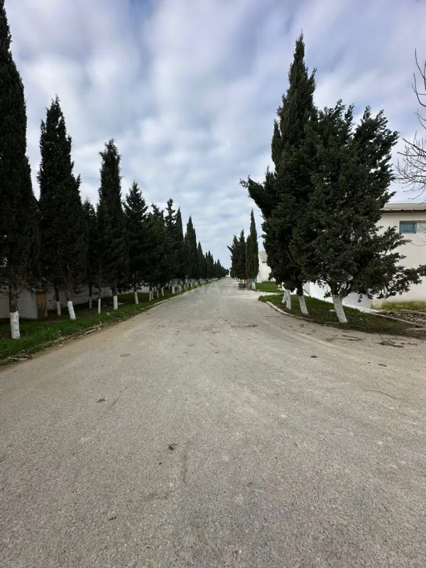 Kirayə verilir obyekt 648 m²