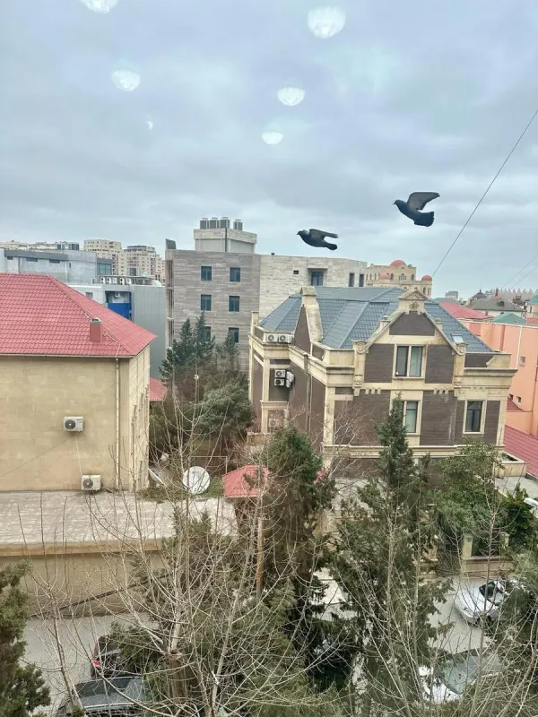 Kirayə verilir 2 otaqlı mənzil 65 m²