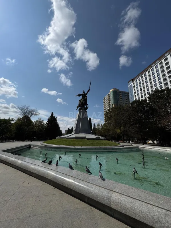 Satılır 4 otaqlı mənzil 230 m²