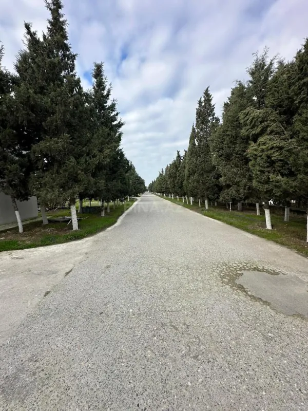 Kirayə verilir obyekt 1450 m²