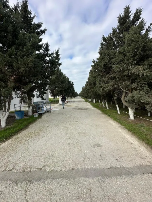 Kirayə verilir obyekt 1450 m²